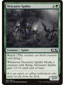 Aranha Lançadora de Rede / Netcaster Spider
