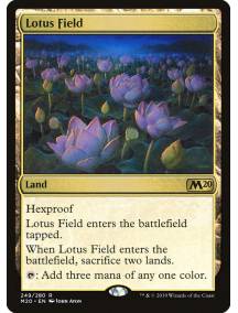 Campo de Lótus / Lotus Field