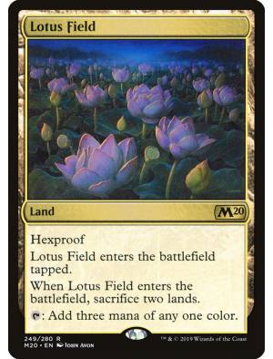 Campo de Lótus / Lotus Field