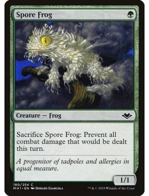 Rã dos Esporos / Spore Frog