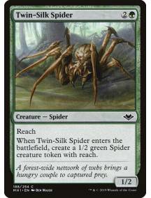 Aranha da Seda Dupla / Twin-Silk Spider