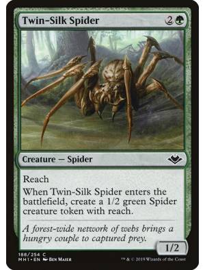 Aranha da Seda Dupla / Twin-Silk Spider