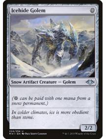 Golem Glaciodérmico / Icehide Golem