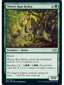 Hidra da Toca da Corruíra / Wren's Run Hydra