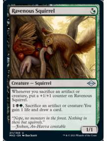 Esquilo Voraz / Ravenous Squirrel