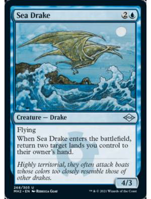 (Foil) Dragonete Marinho / Sea Drake