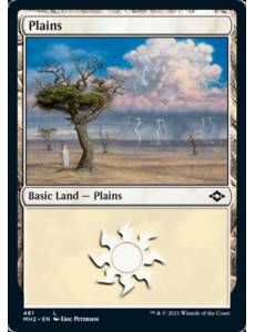 Planície (#481) / Plains (#481)