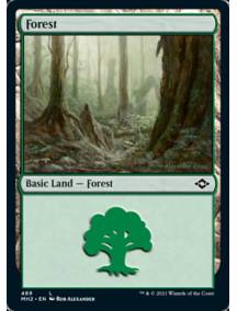 Floresta (#489) / Forest (#489)