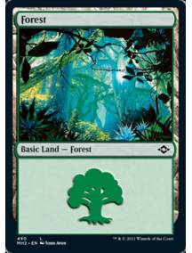 Floresta (#490) / Forest (#490)