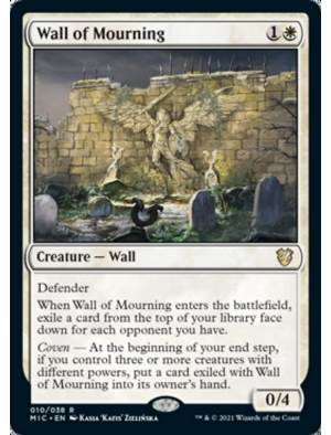 Muro do Luto / Wall of Mourning