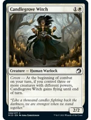 Bruxa do Bosque das Velas / Candlegrove Witch