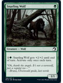 (Foil) Lobo Rosnador / Snarling Wolf