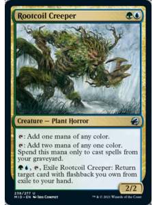 Trepadeira Raizespiral / Rootcoil Creeper