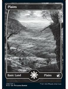 Planície / Plains