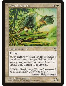 Mtenda Griffin / Grifo de Mtenda