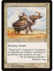 Noble Elephant / Elefante Majestoso