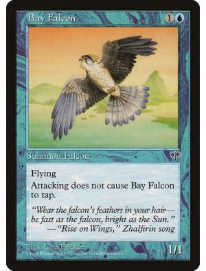 Bay Falcon / Falcão da Baía