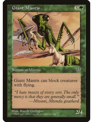 Giant Mantis / Mantídeo Gigante