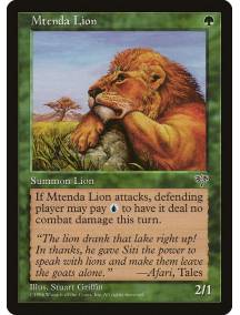 Mtenda Lion / Leão de Mtenda