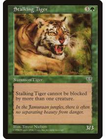 Stalking Tiger / Tigre Caçador