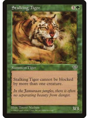 Stalking Tiger / Tigre Caçador