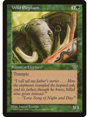 Wild Elephant / Elefante Selvagem