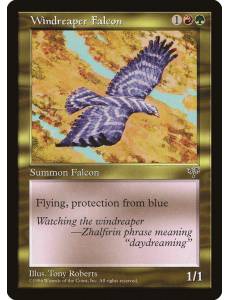 Windreaper Falcon / Falcão Ceifador do Vento