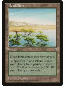 Flood Plain / Planície Alagadiça