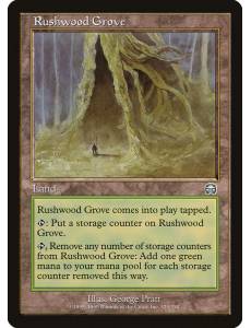 Rushwood Grove / Clareira de Rushwood