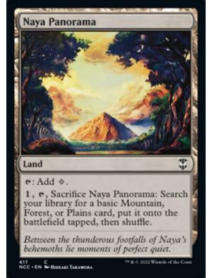 Panorama de Naya / Naya Panorama