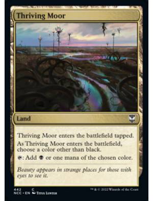 Charco Vicejante / Thriving Moor