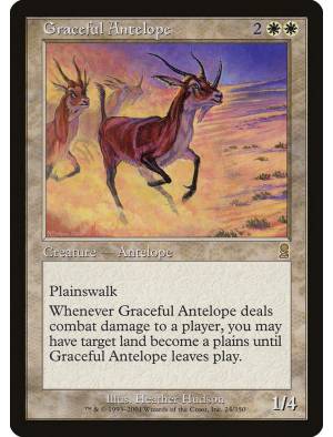 Antílope Elegante / Graceful Antelope