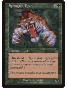 Tigre Saltador / Springing Tiger
