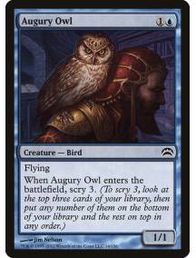 Coruja do Agouro / Augury Owl