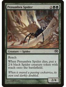 Aranha da Penumbra / Penumbra Spider