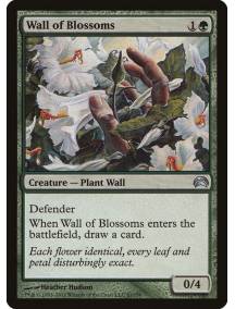 Barreira de Flores / Wall of Blossoms