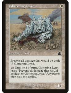 Glittering Lynx / Lince Fulgente