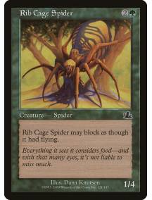 Rib Cage Spider / Aranha Torácica