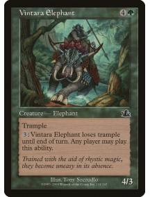 Vintara Elephant / Elefante de Vintara