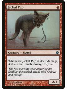 (Foil) Jackal Pup
