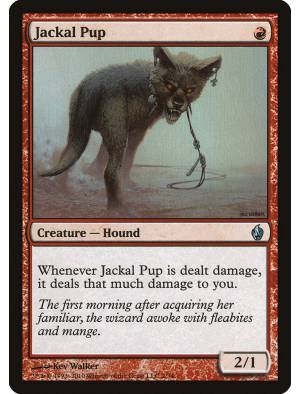 (Foil) Jackal Pup