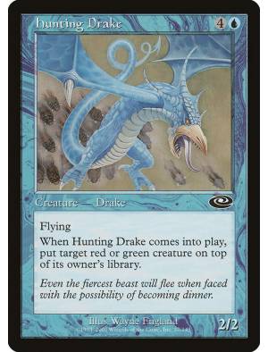 Dragonete Caçador / Hunting Drake