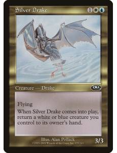 Dragonete Prateado / Silver Drake