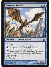 Dragonete Esfarrapado / Tattered Drake