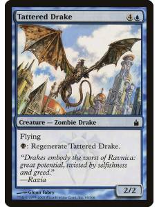 Dragonete Esfarrapado / Tattered Drake