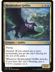 Grifo Resplandescente / Resplendent Griffin