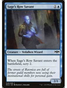 (Foil) Erudito da Travessa da Sabedoria / Sage's Row Savant
