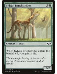 (Foil) Salta-mato Silvestre / Sylvan Brushstrider