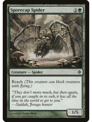 Aranha Fungosa / Sporecap Spider