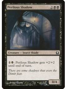Sombras Perigosas / Perilous Shadow